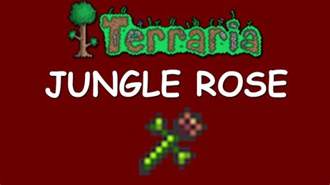 jungle rose calamity